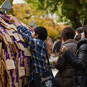 australian tours of japan